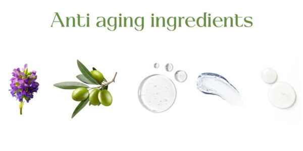 Emerging Anti Aging Ingredients