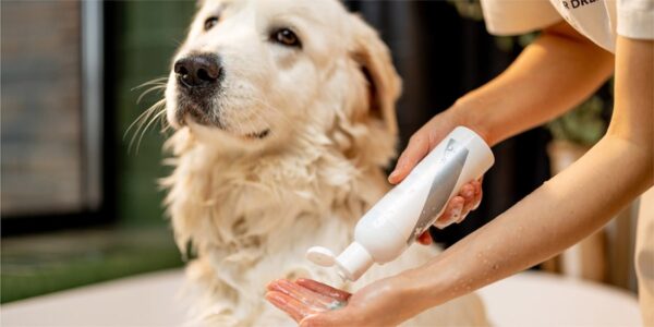 Custom Solutions Product Trends For Pet Skin & Coat Health