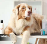 Pet Grooming Products Line Expansion