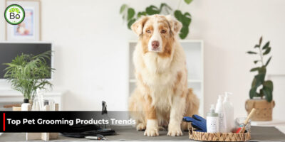 Top Pet Grooming Products Trends