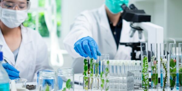 Perfume Brand Launch Essentials